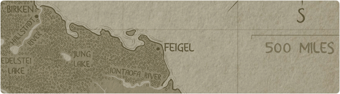 A paper map of Feigel