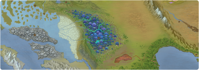 A color map of the Bhakabi Forest
